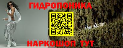 гашик Жуковский