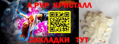 гашик Жуковский
