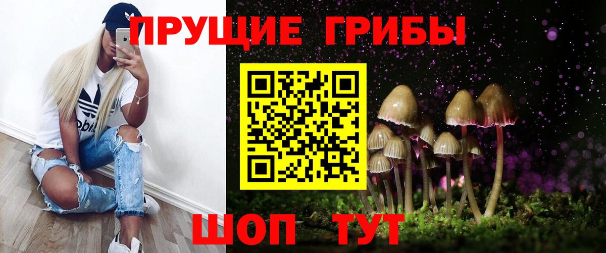 Псилоцибиновые грибы мицелий Лысьва